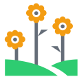 Landscape garden